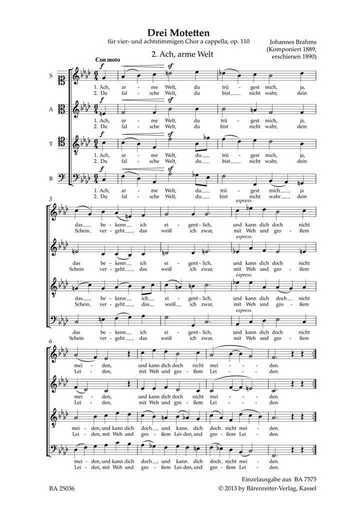 Johannes Brahms: Ach, arme Welt: Gemischter Chor A cappella