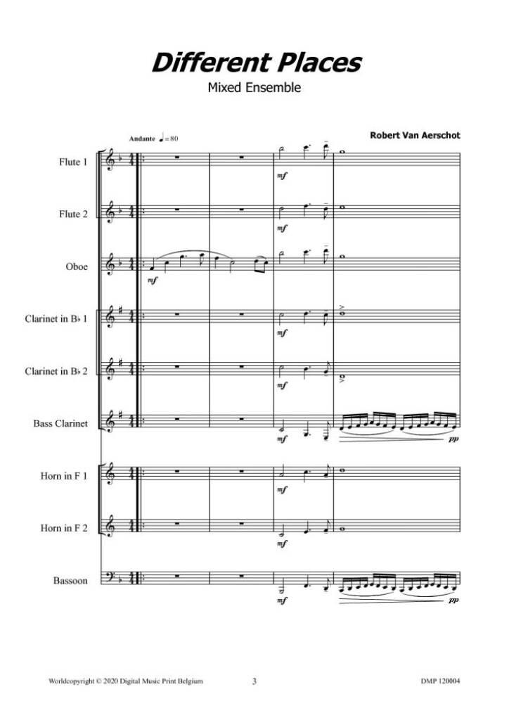 Robert van Aerschot: Different Places: Variables Ensemble