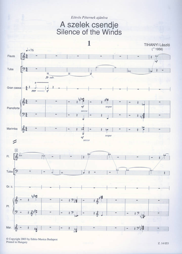 László Tihanyi: Silence of the Winds: Kammerorchester
