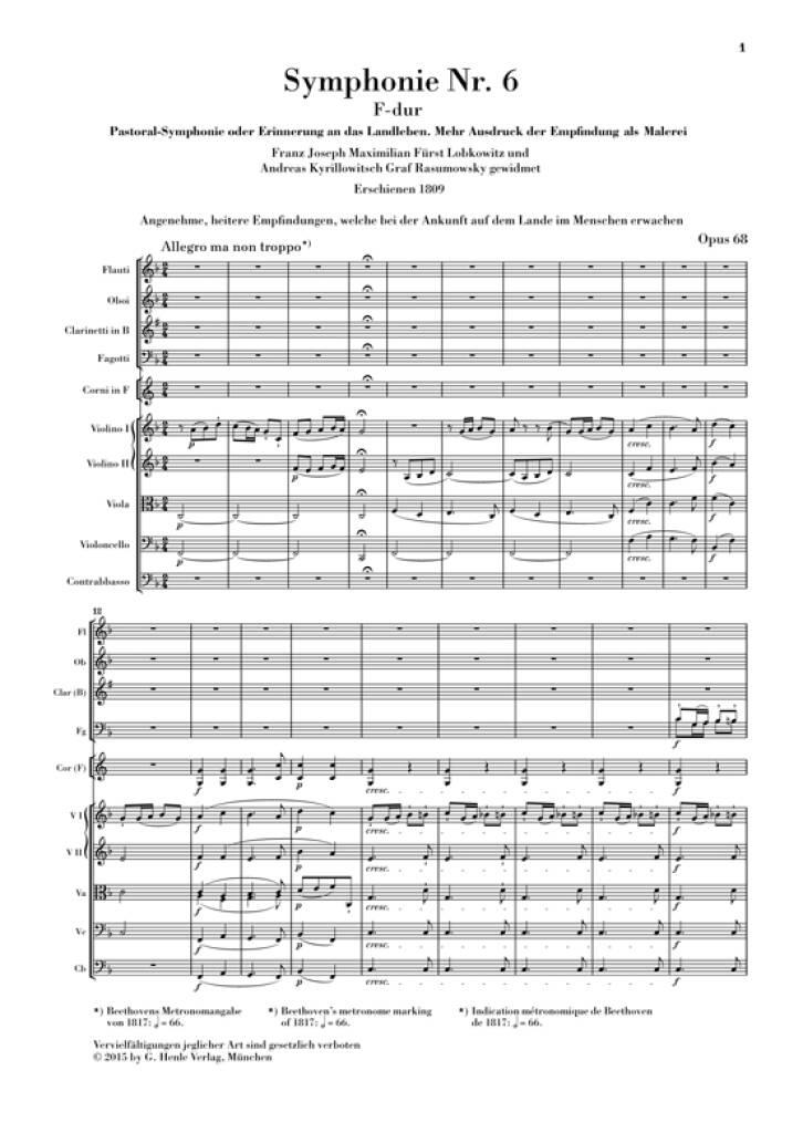 Ludwig van Beethoven: Symphony No. 6 F Major: Orchester mit Solo