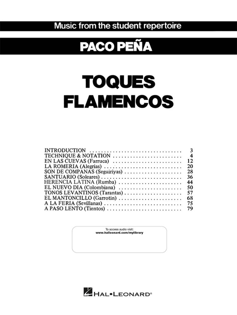 Toques Flamencos: Gitarre Solo