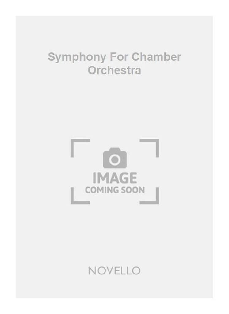 David Blake: Symphony For Chamber Orchestra: Kammerorchester