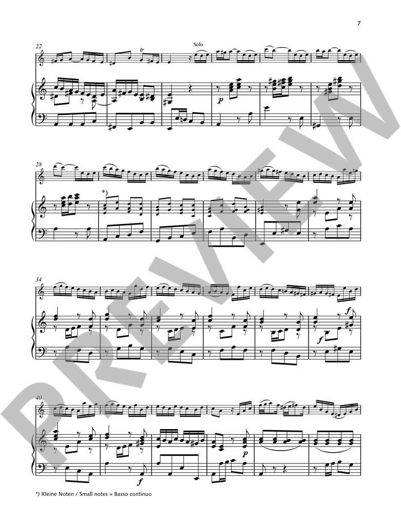Johann Sebastian Bach: Concerto A-Moll Bwv 1041: (Arr. Ulrike Dierick): Kammerensemble