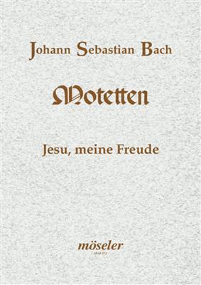Johann Sebastian Bach: Jesu, meine Freude: Gemischter Chor mit Begleitung