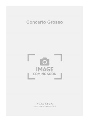 Depelsenaire: Concerto Grosso: Kammerensemble