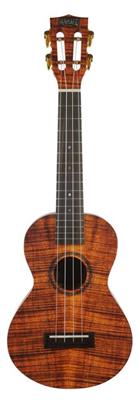 Artist Elite Series Con Ukulele - Photo Flame Koa