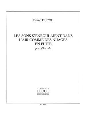 Bruno Ducol: Bruno Ducol: Les Sons senroulaient dans lAir...: Flöte Solo