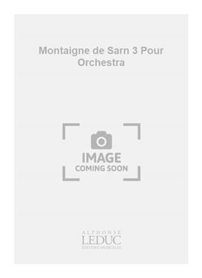Pascal de Montaigne: Montaigne de Sarn 3 Pour Orchestra: Orchester