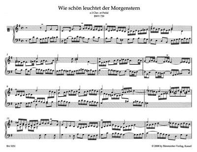Johann Sebastian Bach: Orgelwerke 10: Orgel