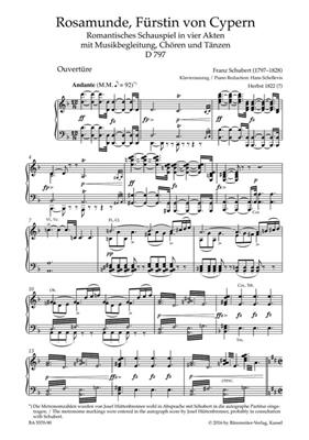 Franz Schubert: Rosamunde, Fürstin von Cypern D 797: (Arr. Hans Schellevis): Orchester