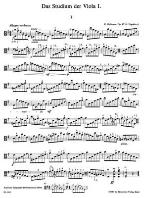 Das Studium der Viola: Viola Solo
