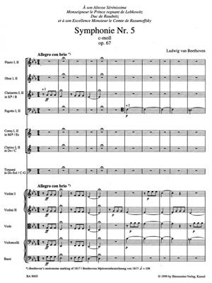 Ludwig van Beethoven: Symphony No.5 In C Minor Op.67: Orchester