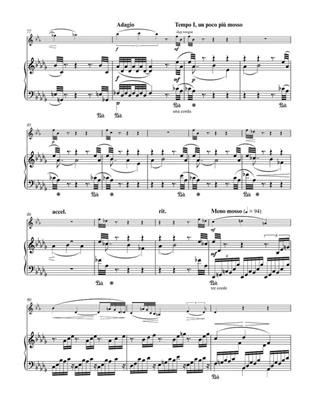 Leos Janacek: Sonata for Clarinet and Piano: (Arr. Shirley Brill): Klarinette mit Begleitung
