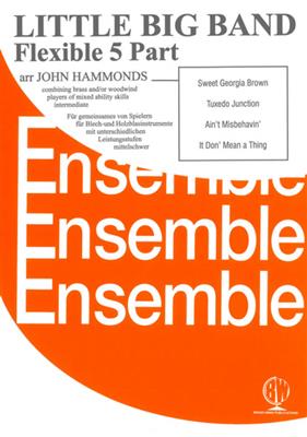 Hammonds: Little Big Band: Variables Ensemble