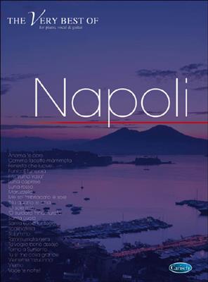 The Best of Napoli: Klavier, Gesang, Gitarre (Songbooks)