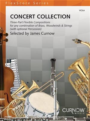 Amy Adam: FlexScore - CONCERT COLLECTION: Klavier Solo