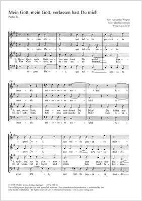 Alexander Wagner: Mein Gott, Mein Gott, Verlassen Hast Du Mich: Gemischter Chor A cappella