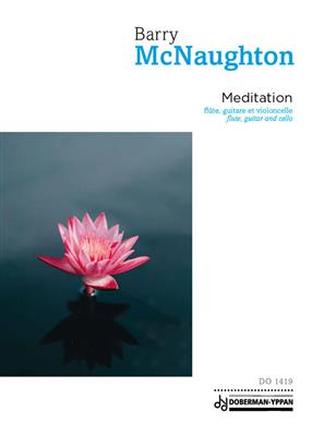 Barry Mcnaughton: Meditation: Kammerensemble