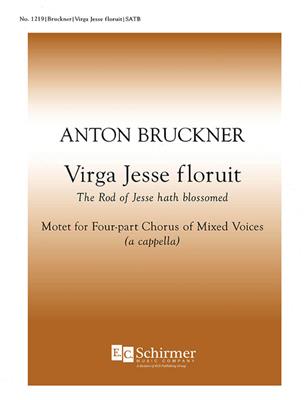 Anton Bruckner: Virga Jesse Floruit: Gemischter Chor mit Begleitung