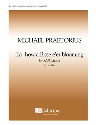 Michael Praetorius: Lo, How a Rose e'er Blooming: Gemischter Chor mit Begleitung