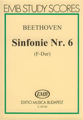 Ludwig van Beethoven: Sinfonie Nr. 6 F-Dur op. 68 Sinfonia pastorale: Orchester