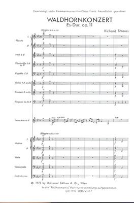 Richard Strauss: Waldhornkonzert E-Dur: Orchester mit Solo