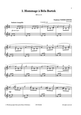 Stéphane Vande Ginste: Complete 366' - Book XXVIII: 12 Hommages: Klavier Solo