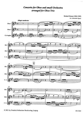 Richard Strauss: Konzert für Oboe und kleines Orchester: (Arr. Alexandre Oguey): Bläserensemble