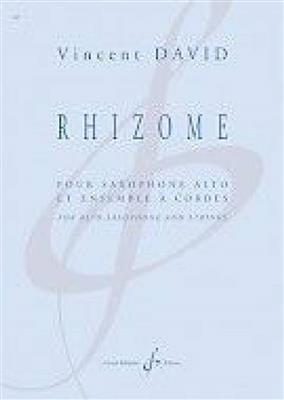 Vincent David: Rhizome: Orchester mit Solo