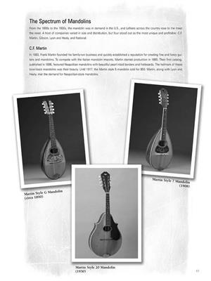 Mandolin Blues: Mandoline