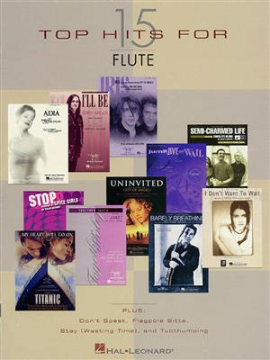 15 Top Hits: Flöte Solo