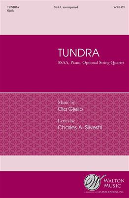 Ola Gjeilo: Tundra: Frauenchor mit Begleitung