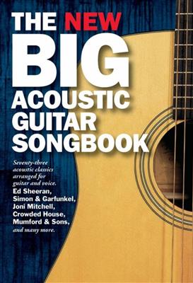 The New Big Acoustic Guitar Songbook: Gitarre Solo