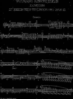 Ludwig van Beethoven: Violin Concerto D Op.61 Cadenzas: Violine Solo