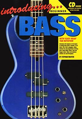 Introducing Bass Guitar