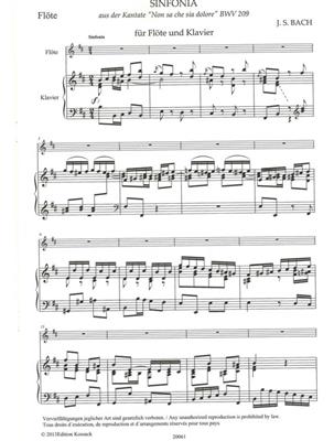 Johann Sebastian Bach: Sinfonia: Flöte mit Begleitung