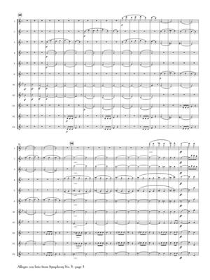 Ludwig van Beethoven: Allegro con brio from Symphony No. 5: (Arr. Shaul Ben-Meir): Flöte Ensemble