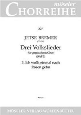 Jetse Bremer: Drei Volkslieder: Gemischter Chor mit Begleitung