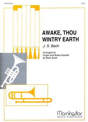 Johann Sebastian Bach: Awake, Thou Wintry Earth: Kammerensemble