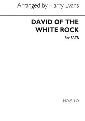 David Of The White Rock for SATB Chorus: (Arr. Harry Evans): Gemischter Chor mit Begleitung