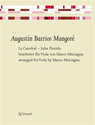 Augustin Barrios Mangor: La Caterdal: (Arr. Marco Misciagna): Viola Solo