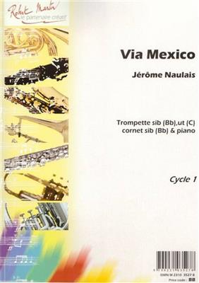 Jérôme Naulais: Via Mexico: Trompete mit Begleitung