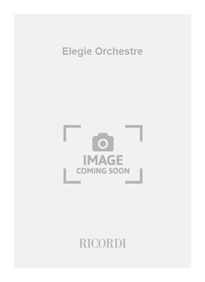 Edward Michael: Elegie Orchestre: Orchester