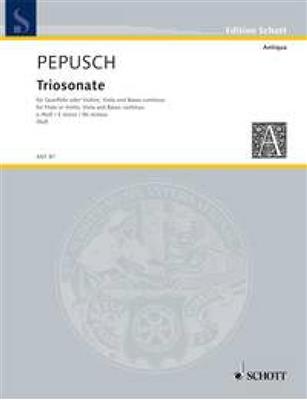 Johann Christoph Pepusch: Triosonata e minor: Kammerensemble