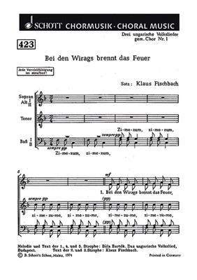 Klaus Fischbach: Drei ungarische Volkslieder: Gemischter Chor mit Begleitung