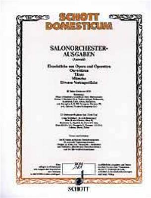 Fritz Kreisler: Liebesleid: Salonorchester