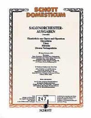 Johannes Brahms: 2 Waltzes op. 39/2 und 15: Salonorchester