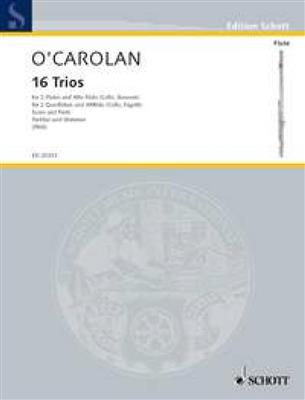 Toirdhealbhach Ó Cearbhalláin: 16 Trios: (Arr. Patrick Pfoess): Flöte Ensemble