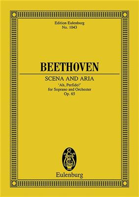 Ludwig van Beethoven: Ah, Perfido! Op. 65: Gesang mit sonstiger Begleitung