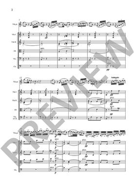 Camille Saint-Saëns: Introduction et Rondo capriccioso op. 28: Orchester mit Solo